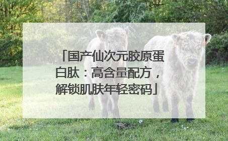 国产仙次元胶原蛋白肽：高含量配方，解锁肌肤年轻密码
