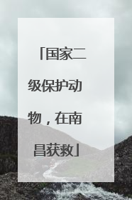 国家二级保护动物，在南昌获救