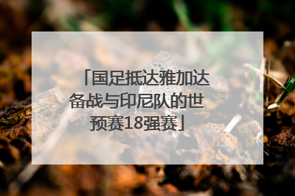 国足抵达雅加达备战与印尼队的世预赛18强赛