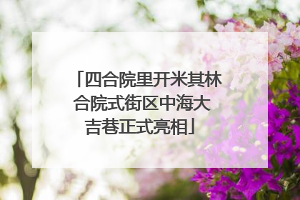 四合院里开米其林 合院式街区中海大吉巷正式亮相