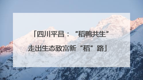 四川平昌：“稻鸭共生”走出生态致富新“稻”路