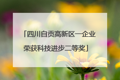 四川自贡高新区一企业荣获科技进步二等奖