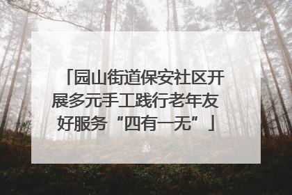 园山街道保安社区开展多元手工践行老年友好服务“四有一无”