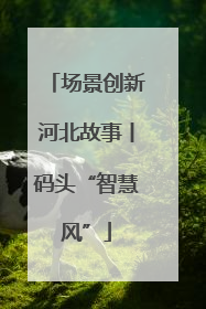 场景创新河北故事丨码头“智慧风”