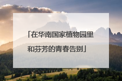 在华南国家植物园里和芬芳的青春告别