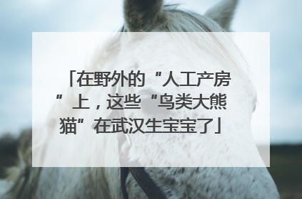 在野外的“人工产房”上，这些“鸟类大熊猫”在武汉生宝宝了