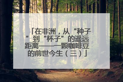 在非洲，从“种子”到“杯子”的遥远距离——一颗咖啡豆的前世今生（三）