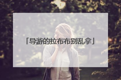 导游的拉布布别乱拿