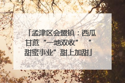 孟津区会盟镇：西瓜甘蔗“一地双收” “甜蜜事业”甜上加甜