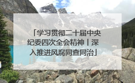 学习贯彻二十届中央纪委四次全会精神丨深入推进风腐同查同治