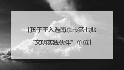孩子王入选南京市第七批“文明实践伙伴”单位