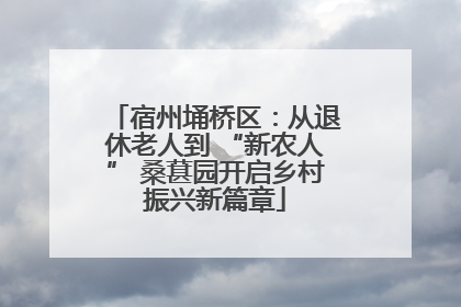 宿州埇桥区：从退休老人到 “新农人” 桑葚园开启乡村振兴新篇章