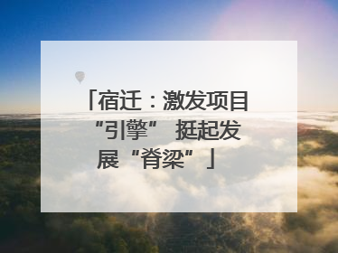宿迁：激发项目“引擎” 挺起发展“脊梁”