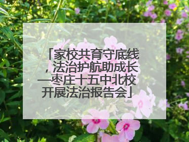 家校共育守底线，法治护航助成长—枣庄十五中北校开展法治报告会