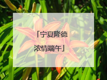 宁夏隆德 浓情端午