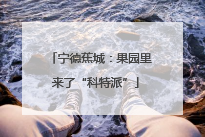 宁德蕉城：果园里来了“科特派”