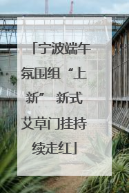 宁波端午氛围组“上新” 新式艾草门挂持续走红