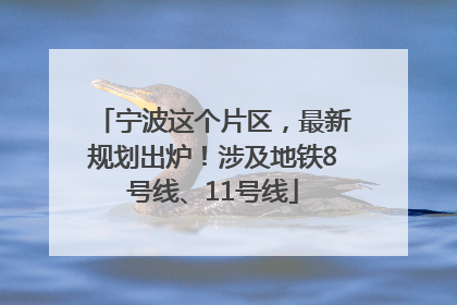 宁波这个片区，最新规划出炉！涉及地铁8号线、11号线