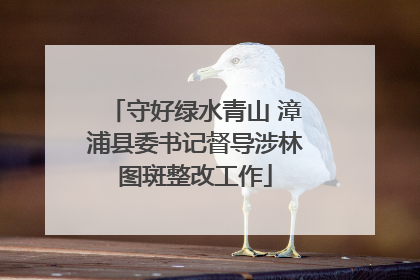 守好绿水青山 漳浦县委书记督导涉林图斑整改工作