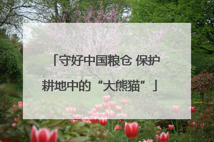 守好中国粮仓 保护耕地中的“大熊猫”