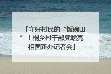 守好村民的“饭碗田”！桐乡村干部凭啥亮相国新办记者会