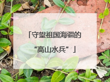 守望祖国海疆的“高山水兵”