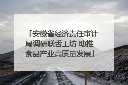 安徽省经济责任审计局调研联舌工坊 助推食品产业高质量发展