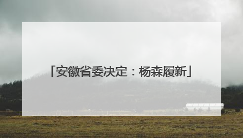 安徽省委决定：杨森履新