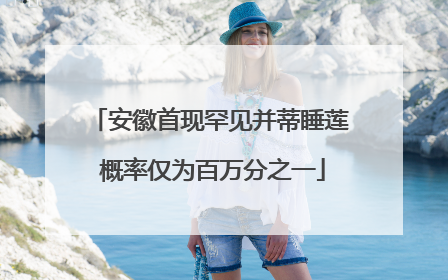 安徽首现罕见并蒂睡莲 概率仅为百万分之一