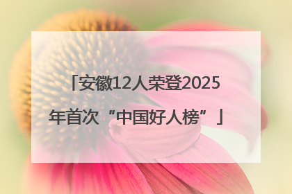 安徽12人荣登2025年首次“中国好人榜”