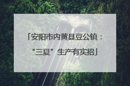 安阳市内黄县豆公镇：“三夏”生产有实招