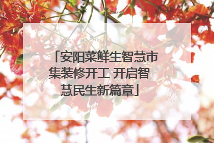 安阳菜鲜生智慧市集装修开工 开启智慧民生新篇章