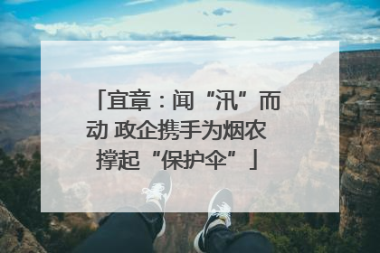 宜章：闻“汛”而动 政企携手为烟农撑起“保护伞”