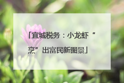 宜城税务：小龙虾“烹”出富民新图景