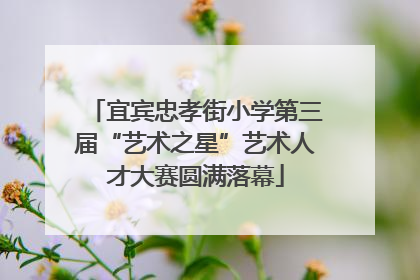 宜宾忠孝街小学第三届“艺术之星”艺术人才大赛圆满落幕