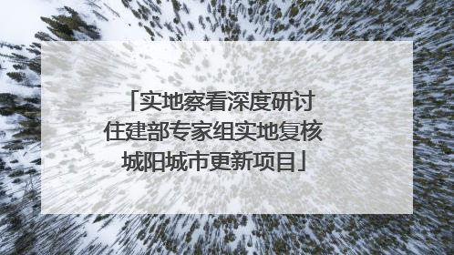 实地察看深度研讨 住建部专家组实地复核城阳城市更新项目