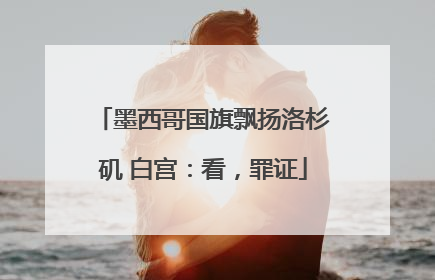 墨西哥国旗飘扬洛杉矶 白宫：看，罪证