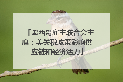 墨西哥雇主联合会主席：美关税政策影响供应链和经济活力