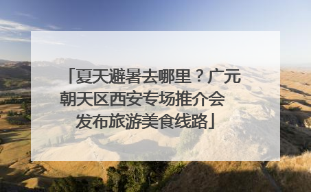 夏天避暑去哪里？广元朝天区西安专场推介会 发布旅游美食线路
