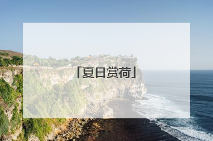 夏日赏荷