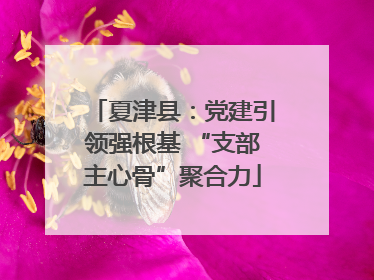 夏津县：党建引领强根基 “支部主心骨”聚合力