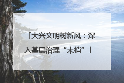大兴文明树新风：深入基层治理“末梢”