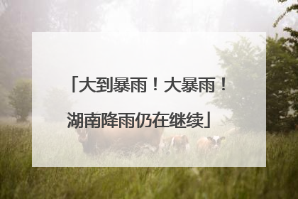 大到暴雨！大暴雨！湖南降雨仍在继续