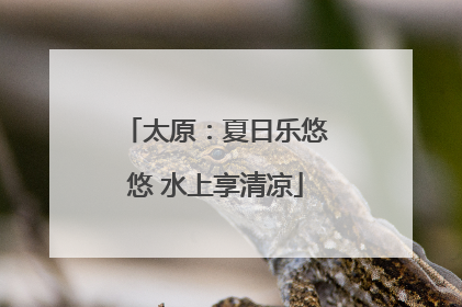 太原：夏日乐悠悠 水上享清凉