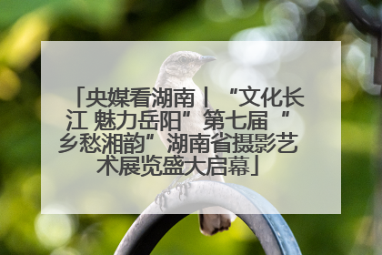 央媒看湖南丨“文化长江 魅力岳阳”第七届“乡愁湘韵”湖南省摄影艺术展览盛大启幕