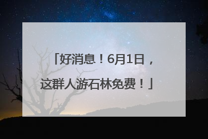 好消息！6月1日，这群人游石林免费！