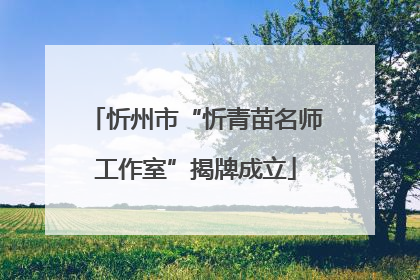 忻州市“忻青苗名师工作室”揭牌成立