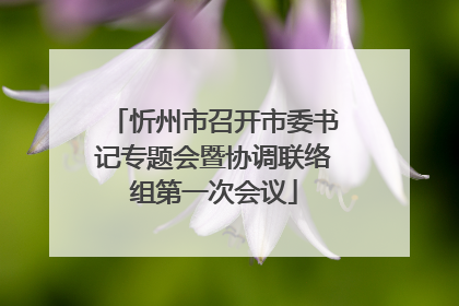 忻州市召开市委书记专题会暨协调联络组第一次会议