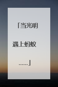 当光明遇上蚂蚁……