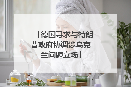 德国寻求与特朗普政府协调涉乌克兰问题立场